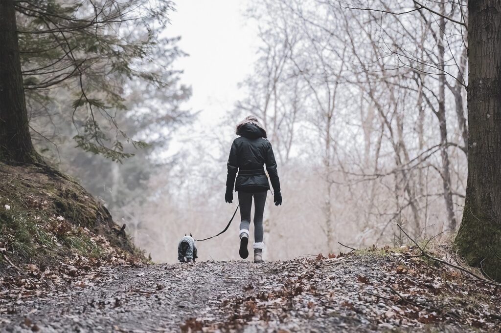 Going for a walk with your dog in Blue Ridge, GA